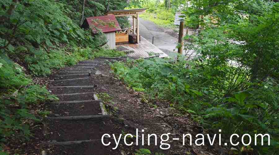 白神山地 暗門ぶな林散策歩道