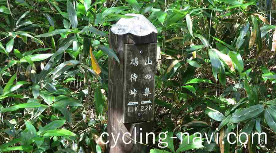尾瀬ヶ原 尾瀬国立公園