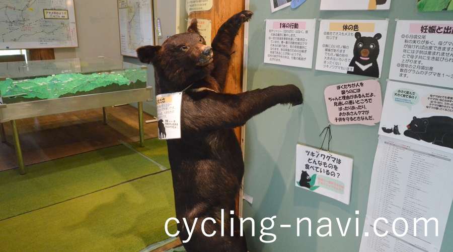 尾瀬ヶ原 尾瀬国立公園