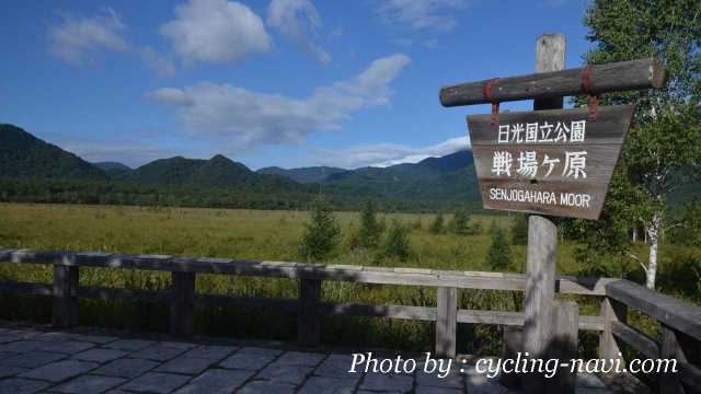 おすすめサイクリングコース 戦場ヶ原へサイクリング 栃木の自転車散策目的地ガイド